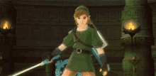 The Legend Of Zelda Skyward Sword GIF - The Legend Of Zelda Skyward Sword Link GIFs