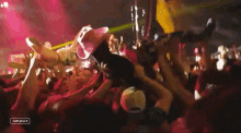 Crowd Surfing The Chats GIF - Crowd Surfing The Chats Coachella GIFs