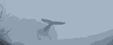 Whale Fantasy GIF - Whale Fantasy Sky GIFs