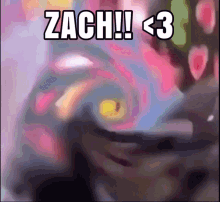 Zach Zachary GIF - Zach Zachary Bae GIFs