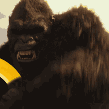 Im Hangry Kong GIF - Im Hangry Kong Godzilla Vs Kong GIFs