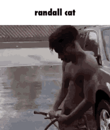 Randall Cat Brobius GIF - Randall Cat Brobius Jerk Off GIFs