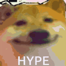 Heheszek Hype GIF - Heheszek Hype Dog GIFs