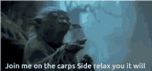 Yoda Carps GIF - Yoda Carps GIFs
