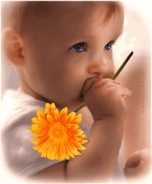 Baby Flower GIF - Baby Flower Blue Eyes GIFs