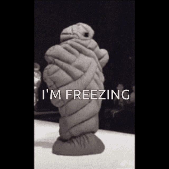 Cold Freezing GIF Cold Freezing Stay Safe Discover & Share GIFs