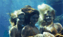 Mako Mermaids H2o GIF - Mako Mermaids Mermaid H2o GIFs