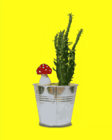 Rotating Cactus Plant GIF - Rotating Cactus Cactus Plant GIFs