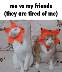 me vs my friends they