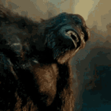 King Kong Vs Godzilla Trailer Gifs Tenor