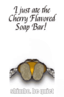 Shimbo Nation Shimbo GIF - Shimbo Nation Shimbo I Just Ate The Cherry Flavored Soap Bar GIFs