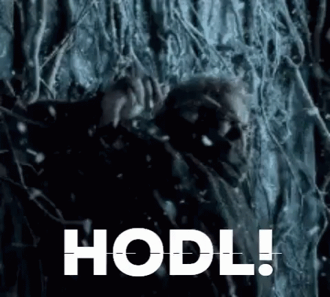 yes-yes-yes-hodl.gif