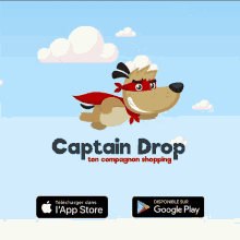 captaindrop dropshipping shopping capitaine compagnon