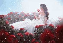 Roses Red Rose GIF - Roses Red Rose Flowers GIFs