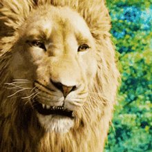 Aslan Roar GIF - Aslan Roar The Chronicles Of Narnia Series GIFs