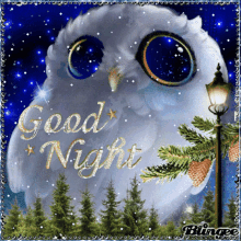 Good Night Owl GIF - Good Night Owl Lamppost GIFs