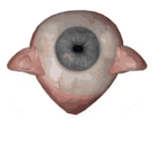 eye cornea high swim pupil
