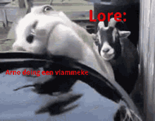 Goat Lore GIF - Goat Lore Arno Doing Een Viammeke GIFs