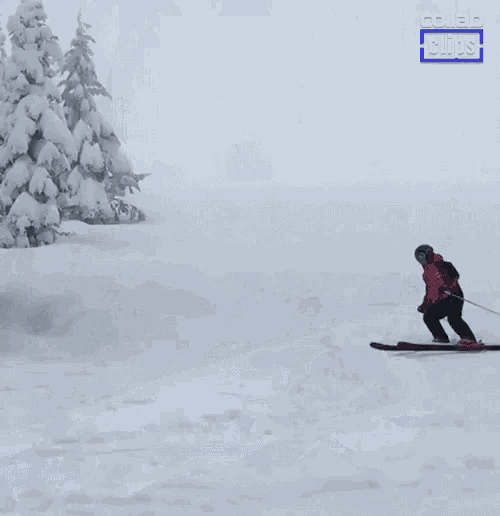 Epic Ski Fails