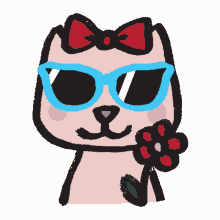 gaiathegraycat cat cool awesome sunglasses