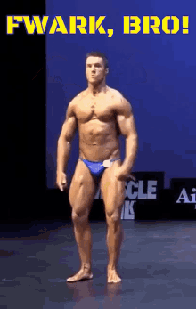 Fwark Fuark Bro Bodybuilder Champion King Congratulations Effort Pride Stud Muscles Young Man Competition Opponent Victory Big Physique GIF - Fwark Fuark Bro Bodybuilder Champion King Congratulations Effort Pride Stud Muscles Young Man Competition Opponent Victory Big Physique Gym Workout Pecs Abs Biceps Doublebi Lats Fitness Training Sport Beat GIFs