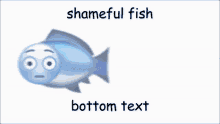 Shameful Fish Shameful GIF - Shameful Fish Shameful Fish GIFs