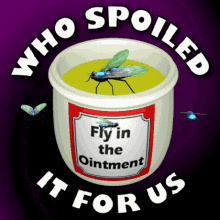 Fly In The Oinment Who Spoiled It GIF - Fly In The Oinment Who Spoiled It Drawback GIFs