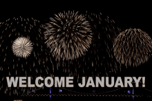 Welcome January GIF - Welcome January GIFs