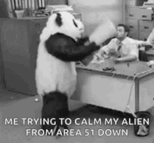 yee panda