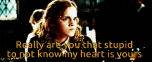 Hermione Granger Really GIF - Hermione Granger Really Are You GIFs