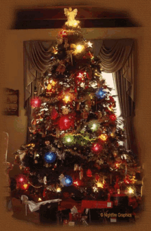 luzes de natal christmas lights christmas tree