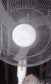 Electric Fan GIF - Electric Fan GIFs