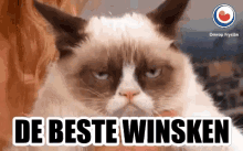 De Beste Winsken Grumpy Cat GIF - De Beste Winsken Grumpy Cat Fryslan GIFs