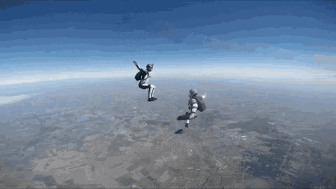 Freefly Skydive GIF - Freefly Skydive GIFs