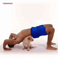 workout yoga cute puppy dog