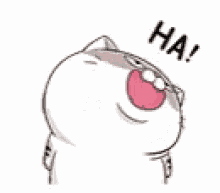 ami fat cat laugh line stickers