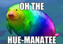 oh-the-humanity-hue-manatee.gif