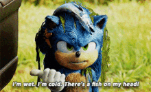 Sonic Im Wet GIF - Sonic Im Wet Im Cold GIFs