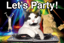 Lets Party 起来嗨 GIF - Lets Party Cats 起来嗨 GIFs