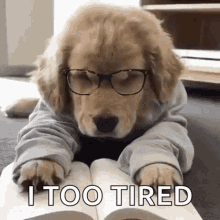 Puppy Goodnight GIF - Puppy Goodnight Tired GIFs