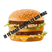 Big Mac Angros GIF - Big Mac Angros GIFs
