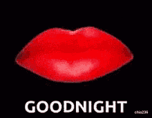 Goodnight Kiss GIF - Goodnight Kiss Kiss Goodnight GIFs
