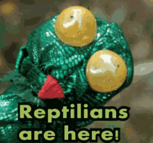 Reptilians Here GIF - Reptilians Here Reptilian GIFs