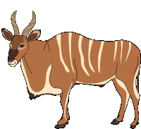 Antelope Eland Sticker - Antelope Eland Giant Eland Stickers