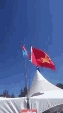 Flag Windy GIF - Flag Windy Flags GIFs