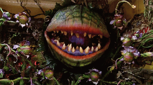 [Image: little-shop-of-horrors-plant.gif]