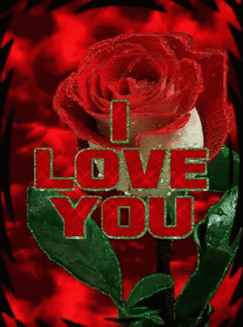 I Love You With Red Rose Images Gifs Tenor