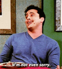 No Regrets Sorry Not Sorry GIF - No Regrets Sorry Not Sorry Joey GIFs