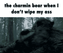 bear toilet paper wipe charmin