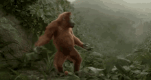 excited dance